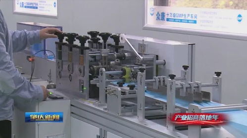德庆真刀真枪抓产业招商 力促项目快落地快建设快产出