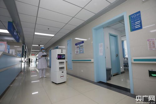 科研团队要攥紧 拳头 ,张开 巴掌 记中国工程院院士 合肥工业大学教授杨善林