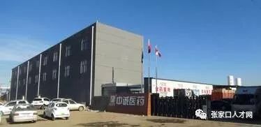 寻找精英,岗位多,高工资,福利全 销售